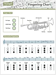 Amazon Haro トランペット練習チャートコードトランペット運指チャートトランペット運指チャート音楽コードポスターl 金管楽器アクセサリ 楽器 音響機器