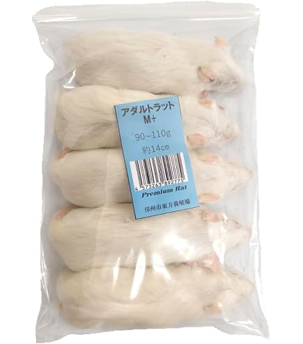 Amazon | 【国産】冷凍ラット アダルトラット LL（300〜400g）爬虫類