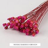BAGEHUA 永遠の花の花束花束草リビングルームは本当に小さい花ドライフラワーアレンジメントホーム家具調度品、約 40 点のバンドル、 C