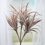 工場直接クラフトのグループ2 Flocked人工多肉植物Stems for Crafting、Arranging and Embellishing レッド SL569