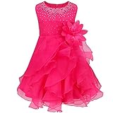 （イーエフイー）EFE　ベビードレス　赤ちゃん　幼児　ガールズ　女児ドレス　洋装フォーマル　ベビーワンピース　写真撮影　出産祝い（3ヶ月ー3歳） ローズ 60