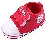 (ビグッド)Bigood 子供靴 女の子 赤ちゃん ベビー靴 出産祝い ハイキャンバス トレーニング シューズ 男の子 ルーム スポーツ スニーカー春秋 12cm レッド