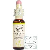 バッチ フラワー レメディ 21本セット 10ml バッチ フラワー レメディ