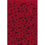 Brewster Komar 4-077 Wall Mural with Paste Roses, 6-Foot 4-Inch x 8-Foot 10-Inch by Brewster