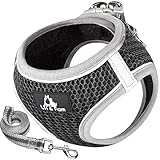 Lil&Fam 犬 ハーネス 胴輪 リードセット 身体に優しい 反射材付き メッシュ 小型犬 中型犬 猫 (ブラック, Sサイズ)