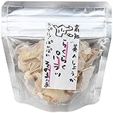 南国FOOD PLUS ドライ生姜mini(高知美人しょうが)3g 3g