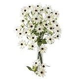 Nearly Natural 2125-WH 28.5" Cosmo Stem (Set of 12) White by Nearly Natural [並行輸入品]
