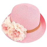 小さな女の子キッズ夏の広いぬいぐるみフロッピービーチサンバイザー帽子レースフラワー (ピンク)