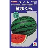 スイカ 種 【 紅まくら 】 種子 小袋（約9粒）