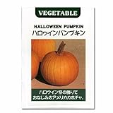 [ハローウィンパンプキン ハロウィン飾に！野菜タネ]ハロウィンカボチャの種 2袋セット[春まき] ノーブランド品