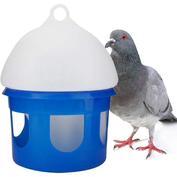 Amazon | 鳥用 給水器 自動節水 プラスチック ハト用品 鳥水飲み場 