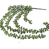 Realsitic Look人工グリーンカスケードSedum Succulent Pick for Fairy Garden装飾、Crafting Arranging