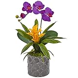 ほぼ自然ミニ胡蝶蘭シルクArrangement、Orchid