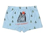 ノーブランド品 ショーツ ボクサーパンツ キッズ 4点セット 110