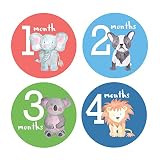 Design Corral Baby Boy Monthly Stickers Animals - Monthly Baby Stickers Boy - Onsie Stickers Boy [並行