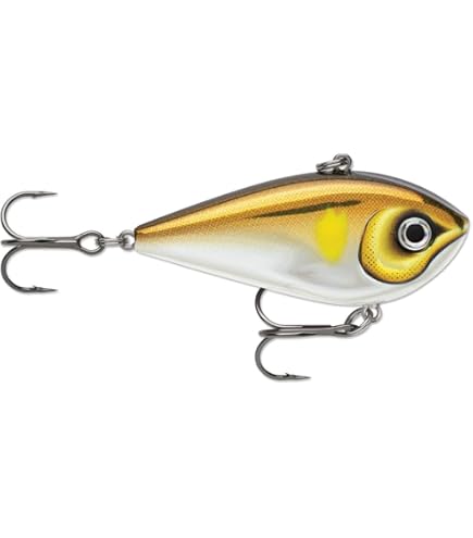 Amazon.co.jp: Rapala(ラパラ) ミノー カウントダウン マグナム 14cm