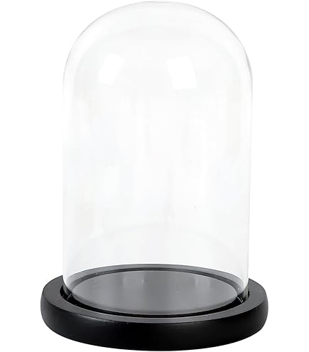 Amazon.co.jp: ダルトン(Dulton) ディスプレイ用品 グラスドーム