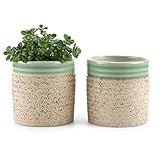 T4U 7CM 粘土 ミニ植木鉢 艶塗り ストライブ円柱シェイプ 多肉植物 サボテン鉢 フラワーポット プランター容器　クリーム色 2個入り