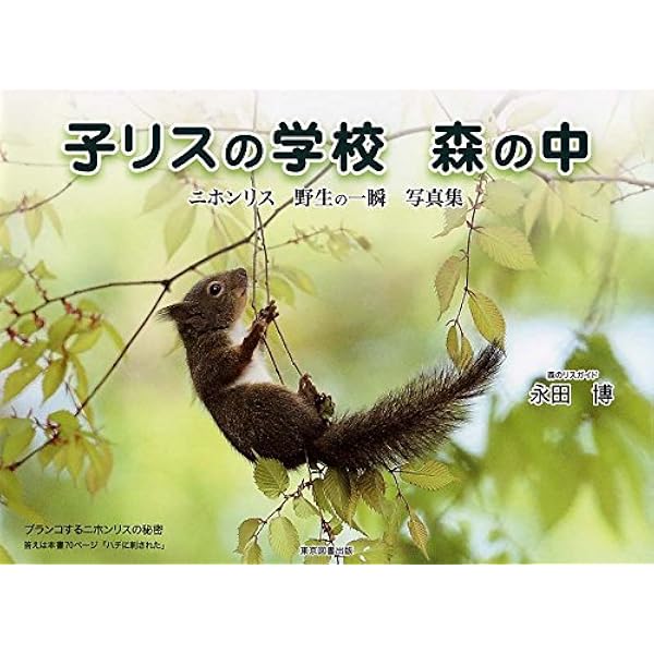 子リスの学校 森の中-ニホンリス 野生の一瞬 写真集- | 永田 博 |本