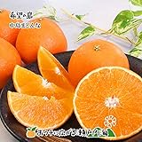 【訳あり】希望の島 中島まどんな 5kg サイズ込 紅まどんなと同品種 愛媛 中島産