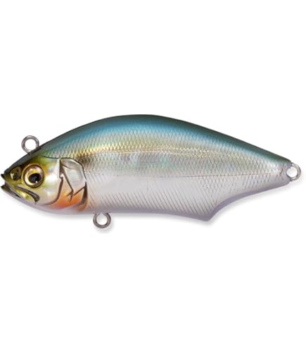 Amazon.co.jp: HADARA TRAP FA ヒイラギ : スポーツ＆アウトドア