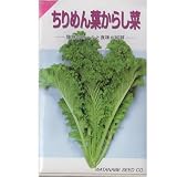 在来固定種　野菜の種「ちりめん葉からし菜」5ml約1800粒　畑懐〔はふう〕