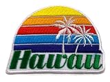ワッペン アイロン US HAWAII ハワイ ホワイト ビーチ アメリカ アメカジ 刺しゅう アップリケ パッチ