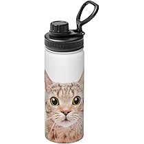 【新品・未使用】お値段ご相談くださいStarbucks 猫デザイン 水筒 Amazon | Starbucks スターバックス ハロウィン2023ステンレス