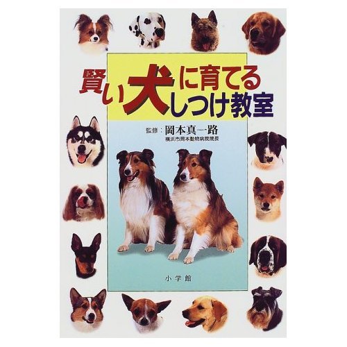 『始発電車―二十歳まえ』