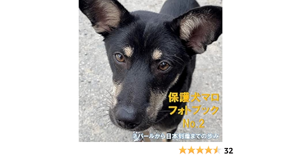 99円支援版 保護犬マロ 全額支援フォトブック 病気を乗り越え 愉快な仲間たちと出会い 初恋をするまで 野良犬ふれあい広場フォトブック 野良犬ふれあい広場 Kindle本 Kindleストア Amazon