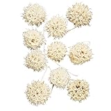 大地農園 ドライフラワー アンバーバーム  DO024320-011