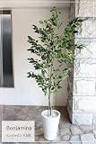 ベンジャミン 165cm 造花 観葉植物 消臭 CT触媒