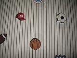 Delightful Dreams Sports Theme Sheet Set Twin [並行輸入品]