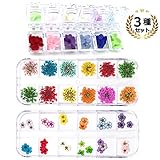 Felimoa ドライフラワー ネイルアート レジンアート （レースフラワー）×12色×各5枚＋（コデマリ）×12色×各10枚＋（アジサイ）×12色×2枚 204枚入り ケース入り お買い得セット