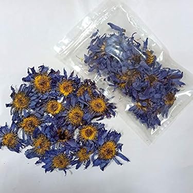 ブルーロータス ドライフラワー 100%有機栽培140g 51vGPAK3wIL._AC_UL375_SR375,