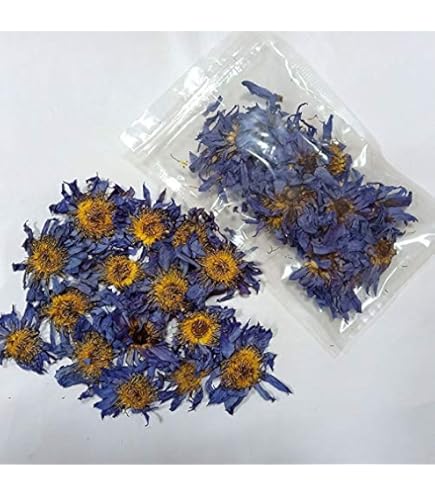 Amazon.co.jp: MAGIC BLUE LOTUS 10g Magic Blue Lotus : Home