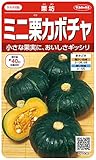 サカタのタネ 実咲野菜1003 ミニ栗カボチャ 栗坊 00921003