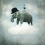 JP London SQM2304PS uStrip Peel and Stick Removable Wall Decal Sticker Mural Elephant Kids Cloud Car