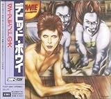 �_�C�������h�̌�