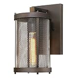 Westinghouse 6318100 Skyview One-Light Outdoor Wall Fixture with Mesh and Clear Glass, Oil Rubbed Br