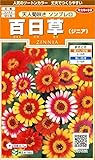 サカタのタネ 実咲花7562 百日草 天人菊咲きソンブレロ 00907562