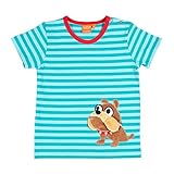 スウェーデンブランド　LIP FISH (リップ　フィッシュ）オーガニック半袖Ｔシャツ　（アクアストライプ）