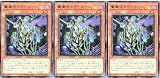 【3枚セット】 WPP5-JP055 響魔従トライコーン レア R ワールドプレミアパック 2024 WORLD PREMIERE PACK 2024