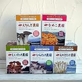 きのこ栽培お買い得5種セット[しいたけ・ひらたけしめじ・なめこ・エリンギ・えのきたけ]
