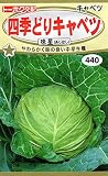 株式会社トーホク 味星 四季どりキャベツ 野菜の種子