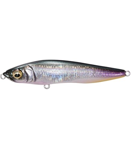 Amazon.co.jp: KIRINJI 90 FA イワシ : スポーツ＆アウトドア