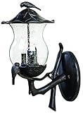 Acclaim 7561BC/SD Avian Collection 2-Light Wall Mount Outdoor Light Fixture, Black Coral [並行輸入品]