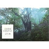 森の中の小さなテント