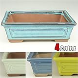 いよじ園 【激安アウトレット】【訳あり特価】【盆栽鉢】支那鉢/額面長方鉢 左右16cm【小品サイズ】 ▼ご選択ください,ホワイト