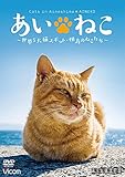 あいねこ 世界5大猫スポット・相島のねこたち [DVD]